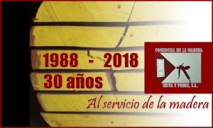 SILVA LOGO 30 AÑOS